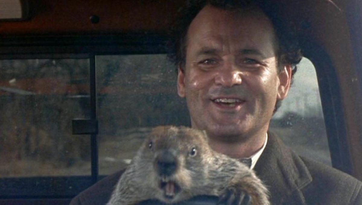 Les répétitions sont fausses ! Même (et surtout) avec des cookies !