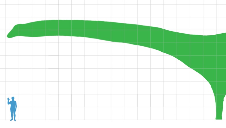 Panels vs data : la taille compte-t-elle ?