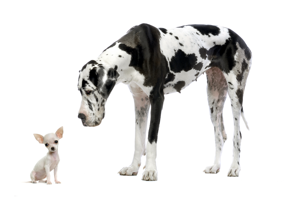 Une alternative à Facebook Ads ?