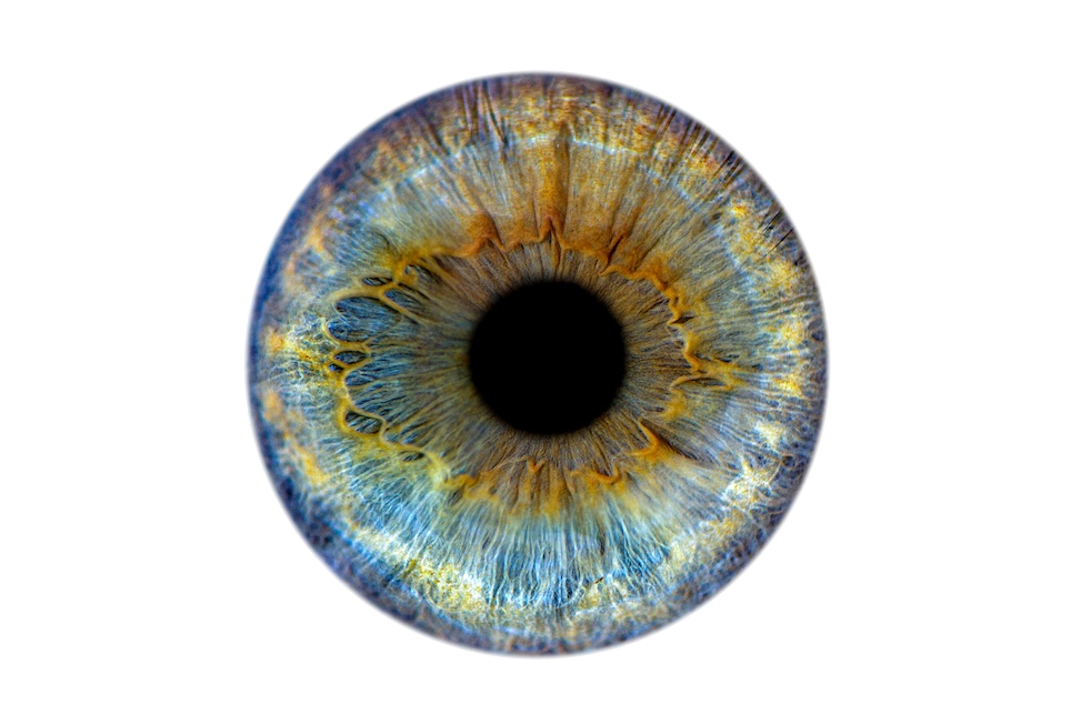 Les trois facettes de l’attention publicitaire