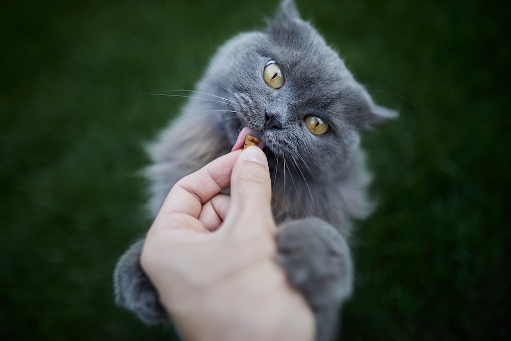 Vers une sémantique « user-centric » ?